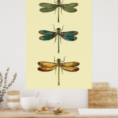 Dragonfly Insects Collectie Poster (Keuken)