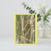 Dragonfly jaune gros do-it-yourself carte postale (Debout devant)