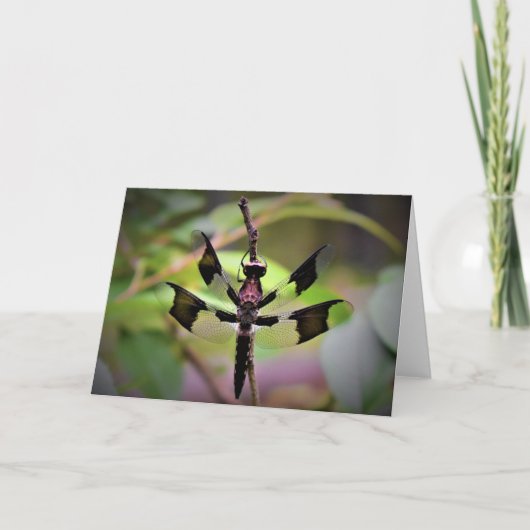 Dragonfly, kaart (Voorkant)