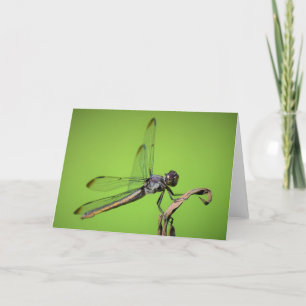 Dragonfly, kaart