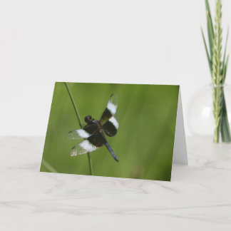 Dragonfly Kaart