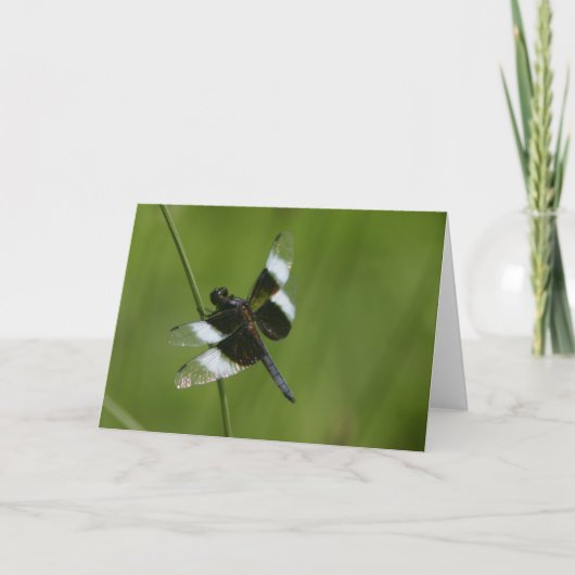 Dragonfly Kaart (Voorkant)
