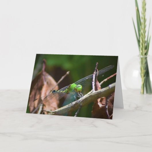 Dragonfly, kaart (Voorkant)