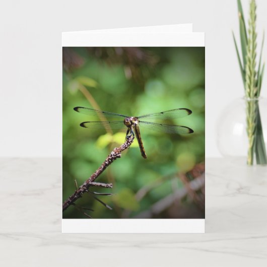 Dragonfly, kaart (Voorkant)