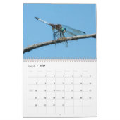 Dragonfly-kalender 2017 kalender (Mar 2027)