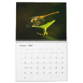 Dragonfly-kalender 2017 kalender (Jan 2027)