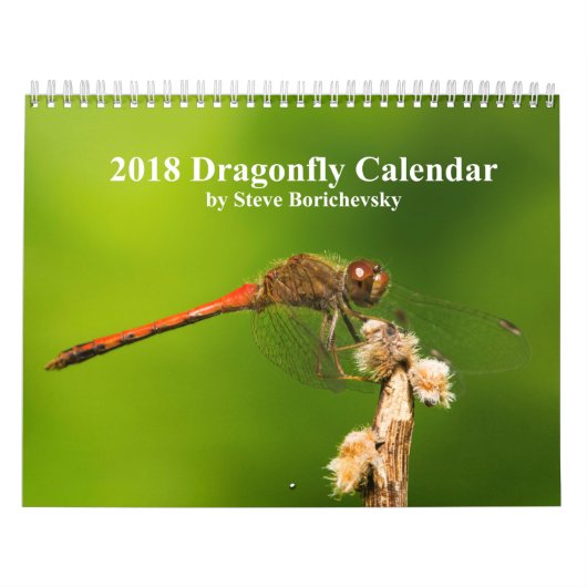 Dragonfly-kalender 2018 kalender (Hoes)