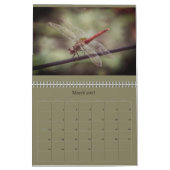 Dragonfly-kalender Kalender (Mar 2027)