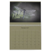 Dragonfly-kalender Kalender (Jan 2027)