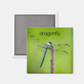Dragonfly-koelkast Magnet Magneet (Voorkant / Achterkant)