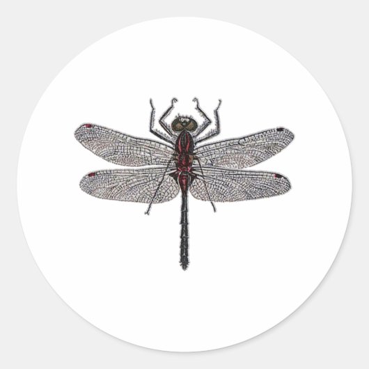 Dragonfly Logo (kleur) Ronde Sticker (Voorkant)