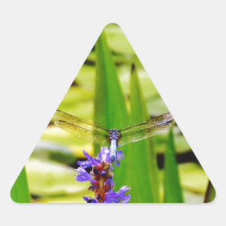 Dragonfly lotus en paarse bloem driehoek sticker