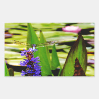 Dragonfly lotus en paarse bloem rechthoekige sticker
