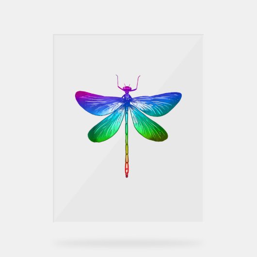 Dragonfly Lovers la nature Insect Art Dragonflies  (Recto)