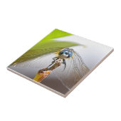 Dragonfly Macro foto glimlachen Tegeltje (Zijkant)