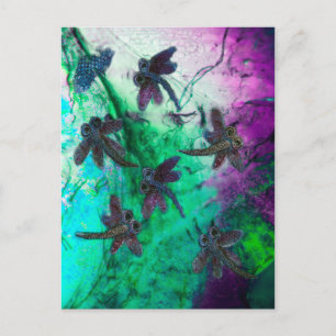 Dragonfly Magic Briefkaart