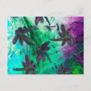 Dragonfly Magic Briefkaart