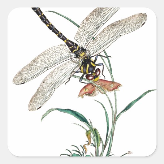 Dragonfly Magic Vierkante Sticker (Voorkant)