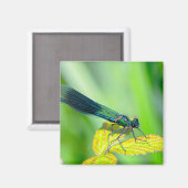 Dragonfly Magneet (Voorkant / Achterkant)