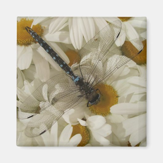 Dragonfly Magneet (Voorkant)