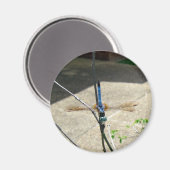 Dragonfly Magneet (Voorkant / Achterkant)