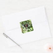 Dragonfly met dubbele vleugels vierkante sticker (Envelop)
