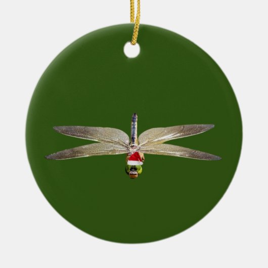 Dragonfly met Petten kerstmis Keramisch Ornament (Voorkant)