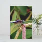 Dragonfly met witte bloemen briefpapier (Staand voorkant)