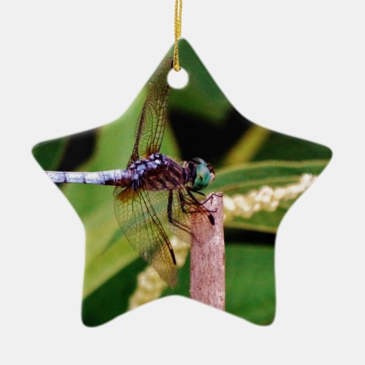 Dragonfly met witte bloemen keramisch ornament (Voorkant)