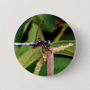 Dragonfly met witte bloemen ronde button 5,7 cm