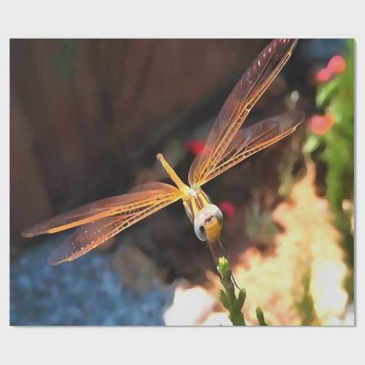 Dragonfly met zonlicht-gele vleugels cadeaupapier (Vlak)