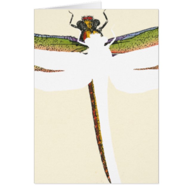 Dragonfly miniature sur Arrière - plan blanc (Devant)