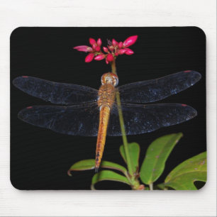 DragonFly Muismat