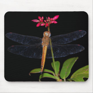 DragonFly Muismat