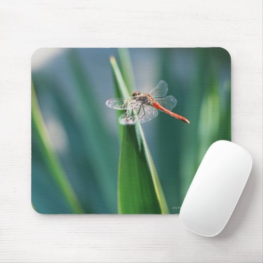 Dragonfly Muismat (Met muis)