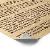 DRAGONFLY MYTHOLOGY POSTER (Hoek)