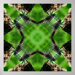 Dragonfly Natuur Kaleidoscope Art Poster