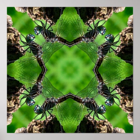 Dragonfly Natuur Mirror Art Poster (Voorkant)