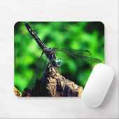Dragonfly-Natuur Muismat (Met muis)