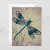 dragonfly No. 2 Grass Waterverf Art Postc Briefkaart (Voorkant / Achterkant)