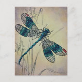 dragonfly No. 2 Grass Waterverf Art Postc Briefkaart (Voorkant)
