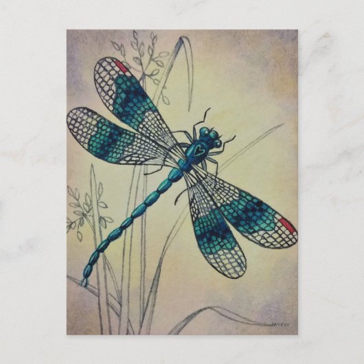 dragonfly No. 2 Grass Waterverf Art Postc Briefkaart (Voorkant)