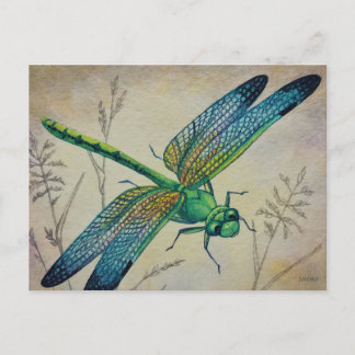 dragonfly nr. 3 en Grass Waterverf Art Briefkaart