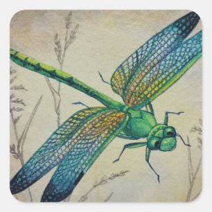 dragonfly nr. 3 en Grass Waterverf Art Vierkante Sticker