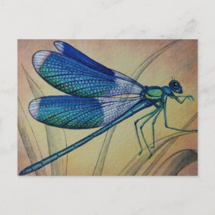  Dragonfly nr. 5 en Grass Waterverf Art Briefkaart