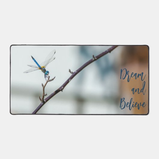 Dragonfly on a Branch Dream and Belive (Recto)