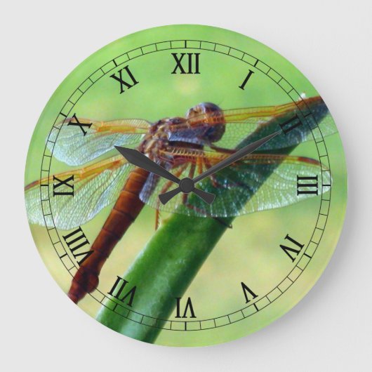 Dragonfly on Aloe Macro Wall Horloge (Recto)