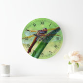 Dragonfly on Aloe Macro Wall Horloge (Maison)