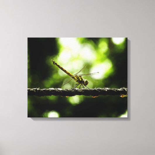 Dragonfly on green - Toile enveloppée (Recto)