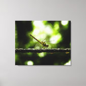 Dragonfly on green - Toile enveloppée (Recto)